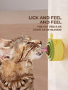 4-in-1 Catnip Wall Ball Toy