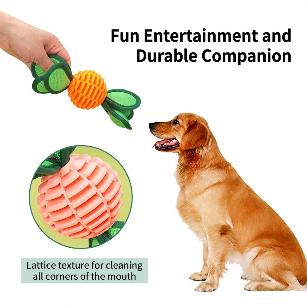 2-in-1 TPU dog chew ring and interactive ball toy set - image 6