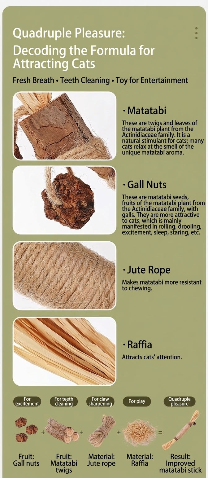 Natural matatabi silver vine cat chew stick - image 2