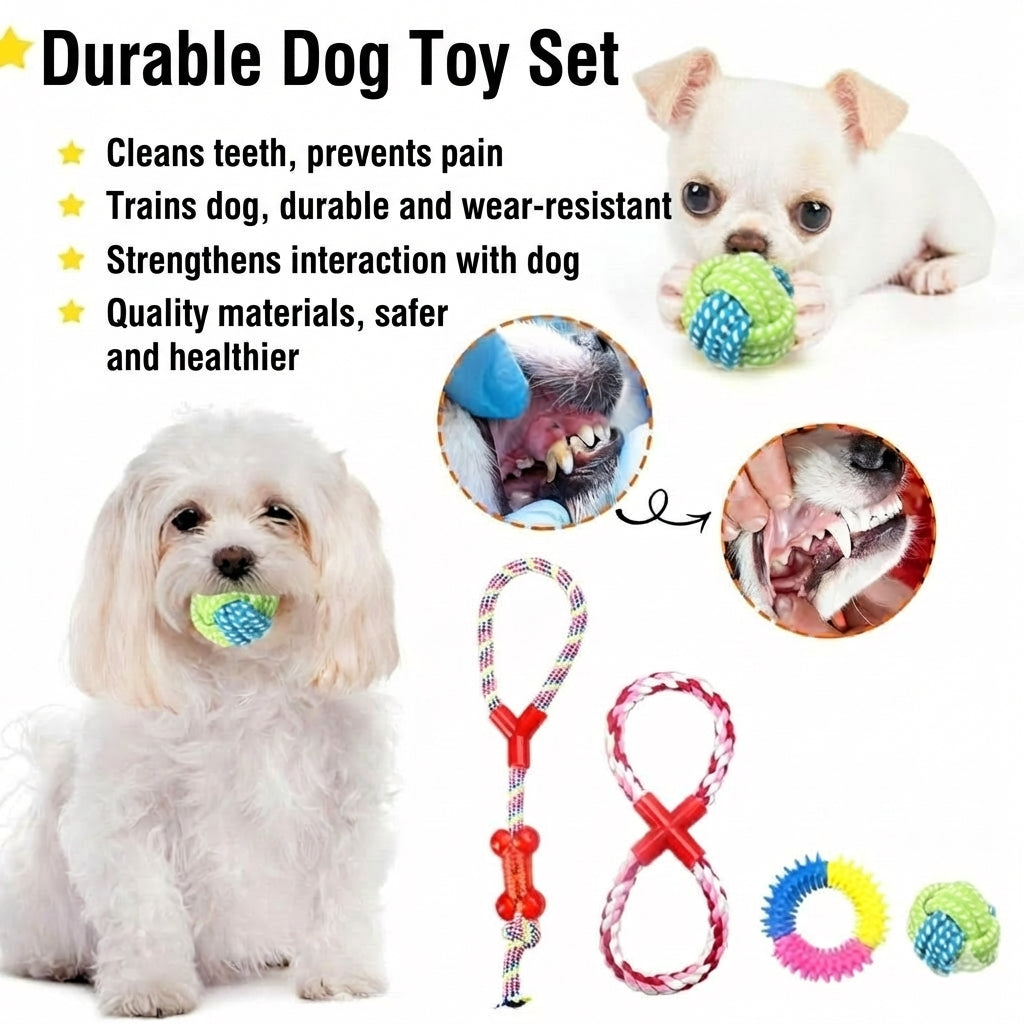 10-piece dog toy variety pack with chew fetch and tug toys - image 2