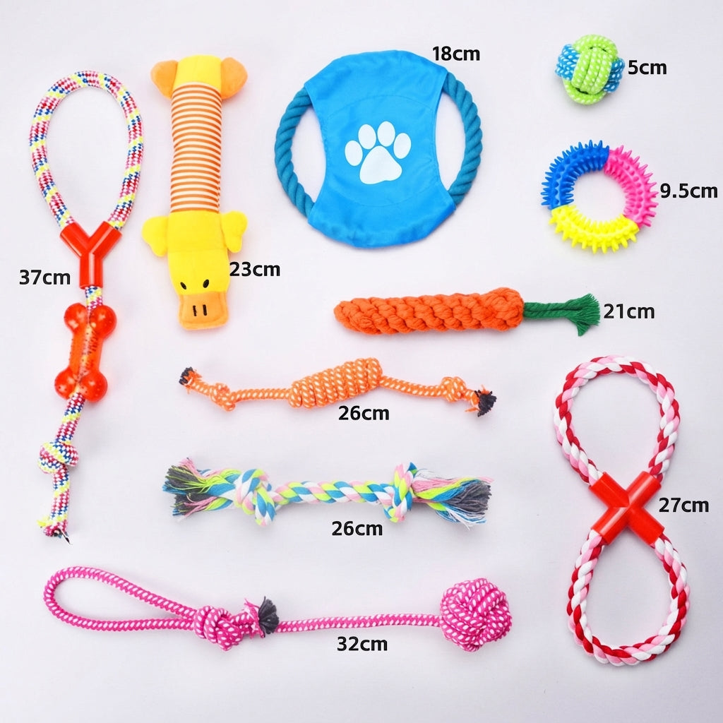 10-piece dog toy variety pack with chew fetch and tug toys - image 3